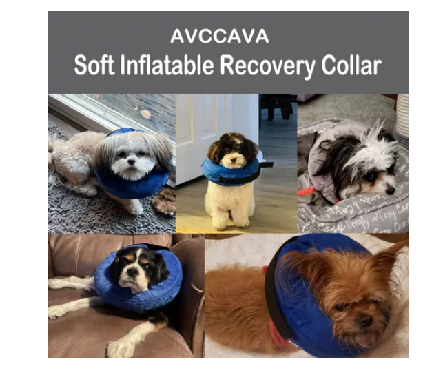 Collar Inflable Isabelino Anti Mordida Perros Gatos Gris / Azul