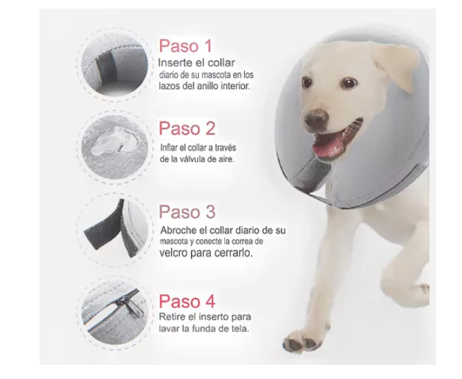 Collar Inflable Isabelino Anti Mordida Perros Gatos Gris / Azul